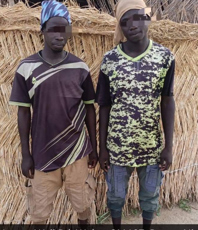 More Boko Haram Terrorists Surrender to MNJTF Troops