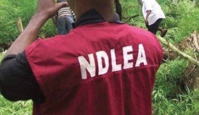 FG okays $1.4m for NDLEA firearms