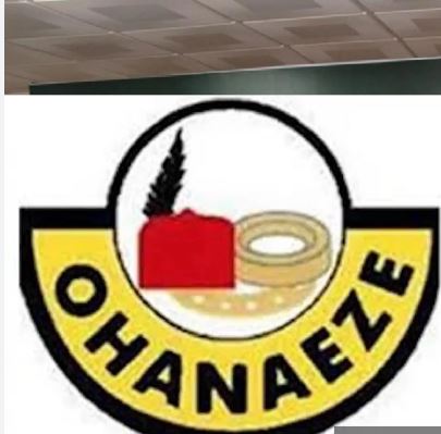 Ohanaeze demands justice for mechanic’s death in police custody