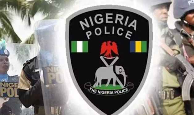 Police recruitment: Reps wade into face-off between PSC, IGP