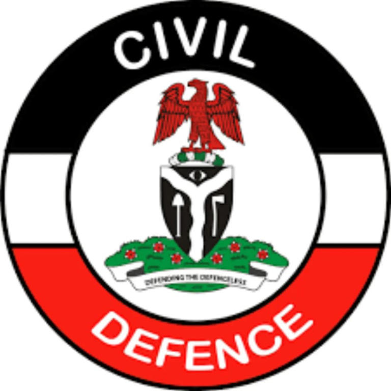 Don’t touch public assets – Adamawa NSCDC warns prospective protesters