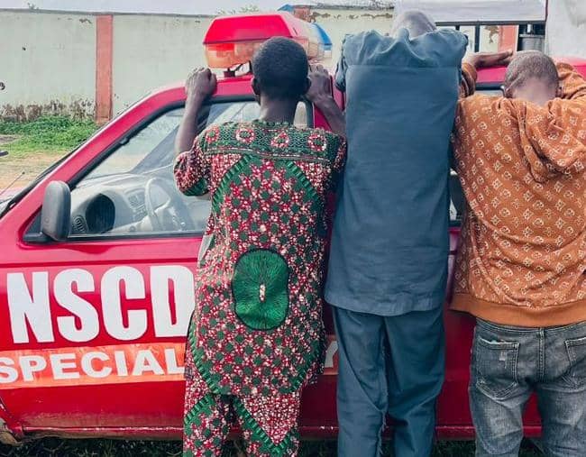 OSUN NSCDC APPREHENDS EX-CONVICT, CULTIST FOR  SERIAL PHONE THEFT AND FRAUD