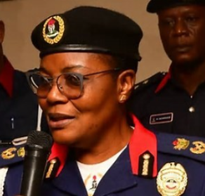 Ogun: NSCDC arrests 8 teenagers for alleged gang rape, assault, others