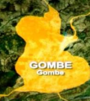 Police nab suspected drug peddlers in Gombe