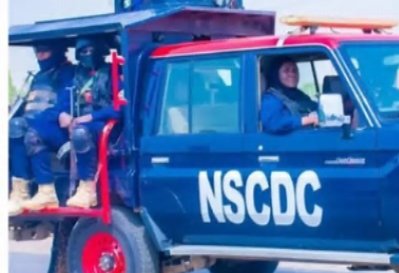 NSCDC apprehends two suspects for unlawful printing, selling of motor vehicle stickers in Niger