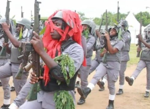 Customs impounds 20 containers of drugs, contrabands worth N10.2b