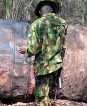 TROOPS ARREST 23 SUSPECTED OIL THIEVES, RECOVER OVER 180,000 LITRES OF STOLEN PRODUCTS ACROSS NIGER DELTA