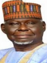 External forces scared of Nigeria’s peacekeeping record– Ex-General