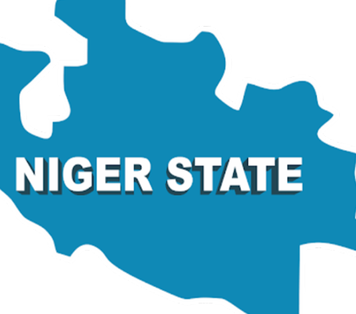 Banditry: Village Head arrested in Niger
