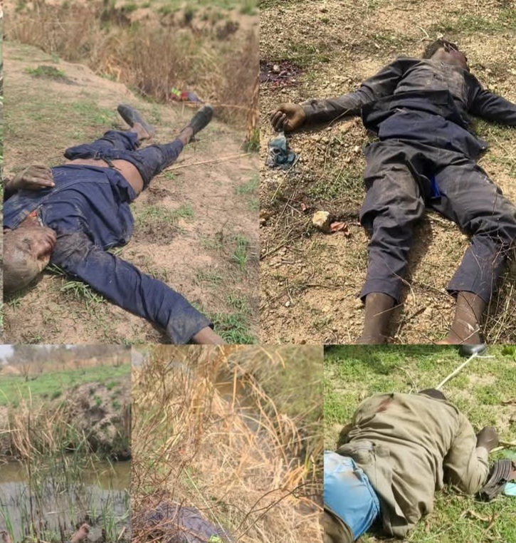 TROOPS NEUTRALIZE 21 TERRORISTS IN KATSINA STATE