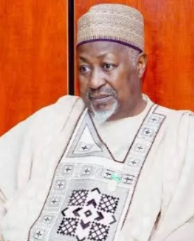 Nigeria’s defence minister speaks on use of drones by Boko Haram