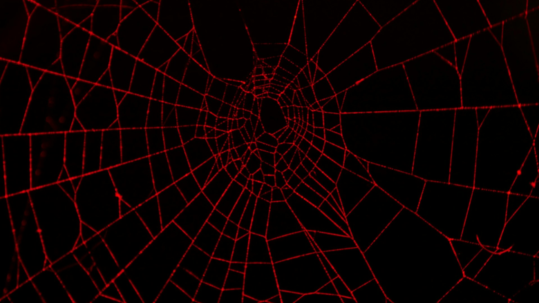 From Retail to Insurance, Scattered Spider Changes Targets
