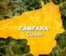 Chasing Shadows: Why Security Forces Can’t Catch Up With Zamfara’s Illegal Miners