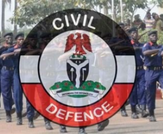Gunmen Ambush Security Team in Benue, Kill 2 NSCDC Officers, Injure Others