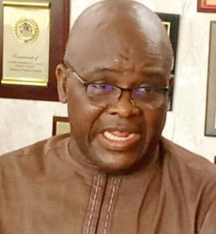Mandatory Military Training for Youths Will Foster Patriotism – Ex-Army Chief Ihejirika