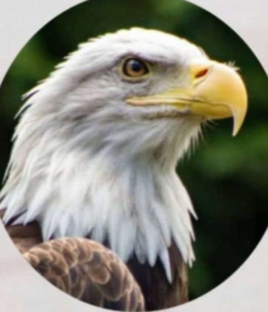 At People’s Security Monitor, our commitment is unwavering: ensuring the safety and security of Nigeria and its citizens. Working hand in hand with the nation’s security agencies, we remain dedicated to promoting peace, safeguarding lives, and reinforcing national resilience.