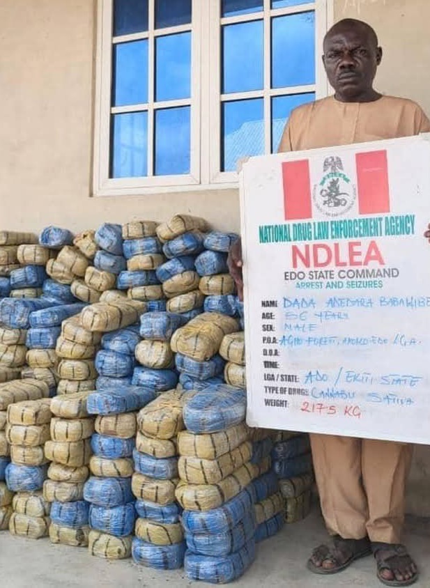 NDLEA Seizes 7.6 Million Tramadol Pills, 76,273kg of Colorado and Skunk in Nationwide Raids…Destroys Major Drug Warehouses in Ekiti and Ondo Forests