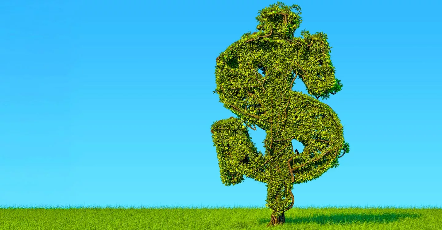 The Salary of a Chief Security Officer