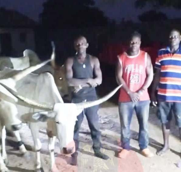 Troops Intensify Operations in Benue, Arrest Cattle Rustlers, Neutralise Criminals
