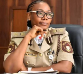 NIS Warns Nigerians Against Fraudulent Passport Application Platforms