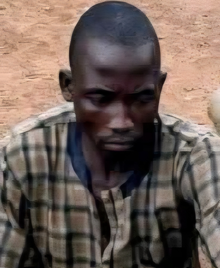 Troops Repel Bandit Attack, Recover 147 Rustled Livestock in Kano
