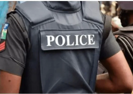 Police Kill Two Suspected Kidnappers, Rescue Abducted Truck Driver in Ogun