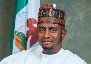 Bauchi Senator Rejects Banditry Allegations, Calls Viral Videos Fabricated