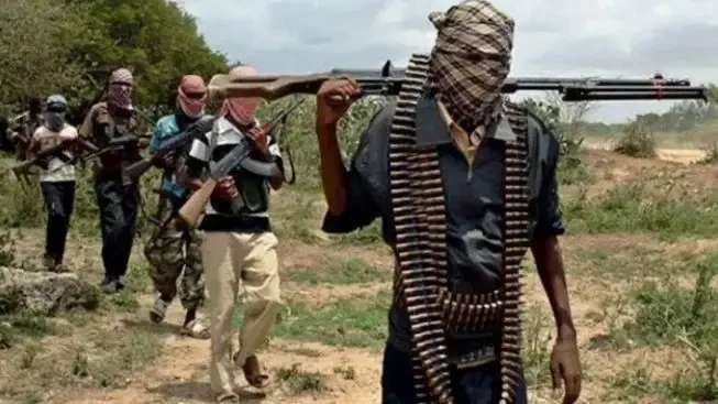 Three farmers missing after Boko Haram attack kills 15 in Marte, Borno