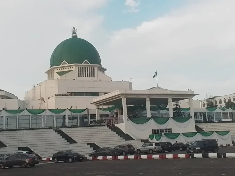 STATE POLICE: 30 STATE ASSEMBLIES APPROVE CONSTITUTIONAL AMENDMENT, N’ASSEMBLY BEGINS COLLATION
